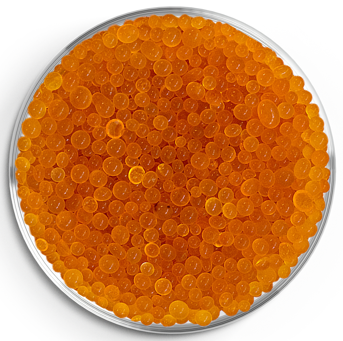 Silicagel Orange Trockenperlen in einer Petrischale