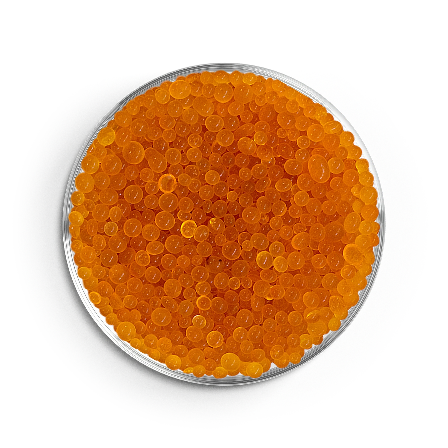 Petrischale gefüllt mit Granulat: Silicagel Orange